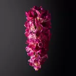 Shiseido Ginza Eau de Parfum 30 ML - фото 4