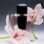 Shiseido Ginza Eau de Parfum 30 ML - фото 5